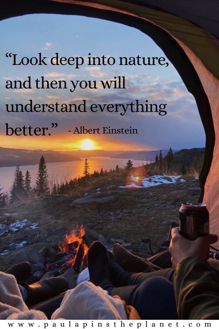 ALDERSON LOOP LLC